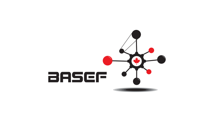 BASEF-Logo-2013-LI